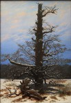 Caspar David Friedrich, lone tree